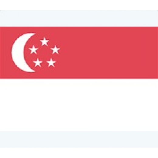 新加坡专利申请